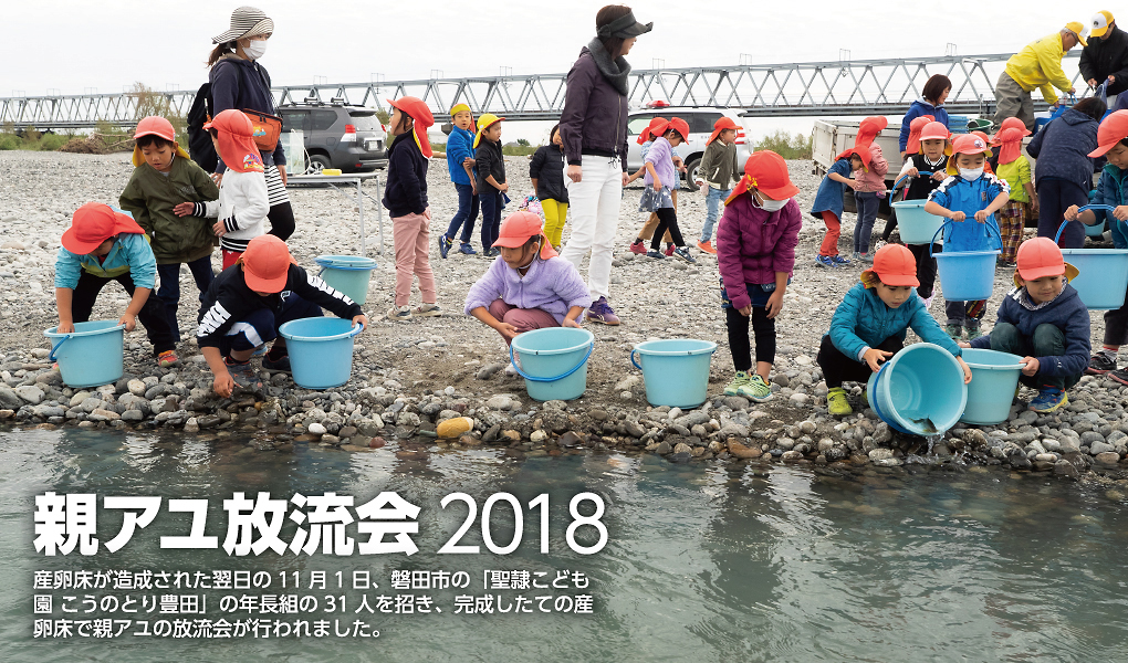 親アユ放流会2018　産卵床が造成された翌日の11月1日、磐田市の「聖隷こども園こうのとり豊田」の年長組の31人を招き、完成したての産卵床で親アユの放流会が行われました。