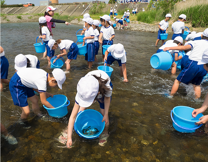 養殖アユを川に放つ子ども達