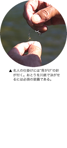 名人の仕掛けには“背がけ”の針が付く。おとりを川底で泳がせるには必須の装備である。