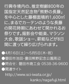 行興寺境内の、推定樹齢800年の国指定天然記念物「熊野の長藤」を中心とした藤棚面積約1,600㎡に、まるでカーテンのような長藤の開花時期にあわせて開かれるお祭りです。撮影会や能楽、マラソン大会、歌謡ショー、薪能などが8日間に渡って繰り広げられます。