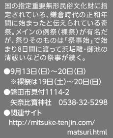 国の指定重要無形民俗文化財に指定されている、鎌倉時代の正和年間に始まったと伝えられている奇祭。メインの例祭（裸祭）が有名だが、祭りそのものは「祭事始」で始まり8日間に渡って浜垢離・御池の清祓いなどの祭事が続く。