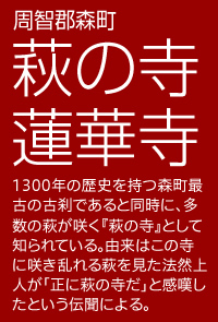 周智郡森町 萩の寺蓮華寺