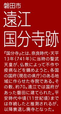 磐田市 遠江国分寺跡