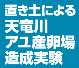 置き土による天竜川アユ産卵場造成実験