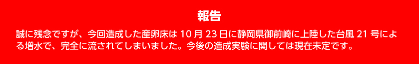 誠に残念ですが、今回造成した産卵床は10月23日に静岡県御前崎に上陸した台風21号による増水で、完全に流されてしまいました。今後の造成実験に関しては現在未定です。